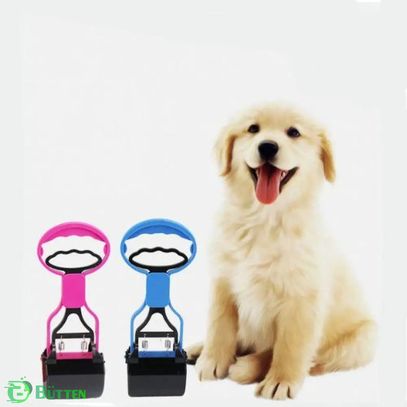 Dog Scoop Dog Scoop