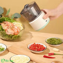 Processador de Alimentos Elétrico Portátil